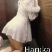 はるか 東京からのお兄様♡ リアル難波店