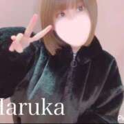 ヒメ日記 2026/02/09 00:00 投稿 はるか リアル難波店