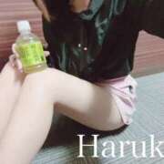 ヒメ日記 2026/03/09 00:50 投稿 はるか リアル難波店