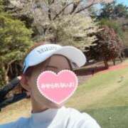 ヒメ日記 2026/04/24 22:51 投稿 小嶋あんな ワイフコレクション