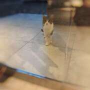 ヒメ日記 2025/09/01 00:54 投稿 一条　星羅 タッチVIP