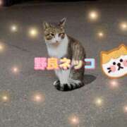 ヒメ日記 2025/09/15 23:57 投稿 一条　星羅 タッチVIP