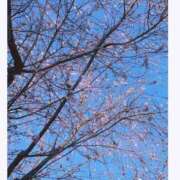 ヒメ日記 2025/10/10 15:10 投稿 一条　星羅 タッチVIP