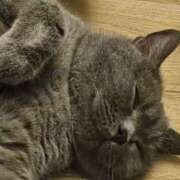 ヒメ日記 2024/12/09 17:31 投稿 浅香りの メンズエステ神田＠彼女はエステシャン