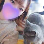 ヒメ日記 2024/12/28 13:32 投稿 浅香りの メンズエステ神田＠彼女はエステシャン