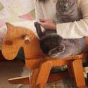 ヒメ日記 2025/01/02 19:30 投稿 浅香りの メンズエステ神田＠彼女はエステシャン