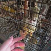 ヒメ日記 2025/10/02 14:47 投稿 浅香りの メンズエステ神田＠彼女はエステシャン