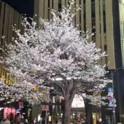 ヒメ日記 2025/03/27 17:08 投稿 みお 初体験