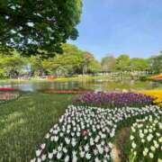 ヒメ日記 2025/04/21 15:06 投稿 みお 初体験