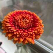 ヒメ日記 2025/05/13 15:25 投稿 みお 初体験