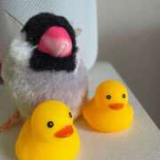 ヒメ日記 2025/06/02 14:03 投稿 みお 初体験