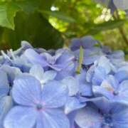 ヒメ日記 2025/06/28 14:21 投稿 みお 初体験