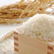 ヒメ日記 2025/07/04 14:00 投稿 みお 初体験