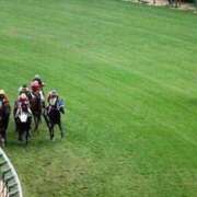 みお こんにちは🐎 初体験