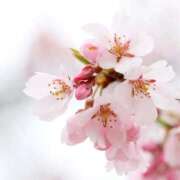 ヒメ日記 2026/04/03 15:31 投稿 みお 初体験