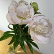 ヒメ日記 2025/07/02 11:04 投稿 三井 ルーブル