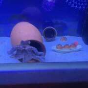 ヒメ日記 2025/09/16 15:42 投稿 このみ 熟女の風俗最終章 池袋店