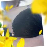 ヒメ日記 2024/12/26 08:28 投稿 野口雅美 五十路マダム静岡店（カサブランカG）