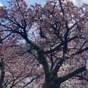 ヒメ日記 2025/02/10 13:50 投稿 野口雅美 五十路マダム静岡店（カサブランカG）