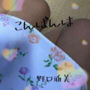 ヒメ日記 2025/04/15 20:38 投稿 野口雅美 五十路マダム静岡店（カサブランカG）