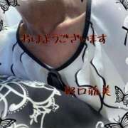 ヒメ日記 2025/07/31 05:06 投稿 野口雅美 五十路マダム静岡店（カサブランカG）