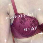 ヒメ日記 2025/11/19 21:02 投稿 野口雅美 五十路マダム静岡店（カサブランカG）