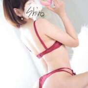 ヒメ日記 2025/06/11 23:45 投稿 しろ The White