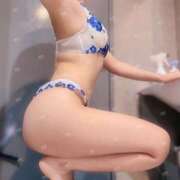 ヒメ日記 2025/07/15 12:15 投稿 しろ The White