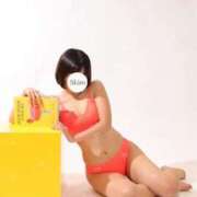 ヒメ日記 2025/08/26 12:15 投稿 しろ The White