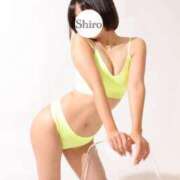 ヒメ日記 2025/09/06 18:15 投稿 しろ The White