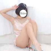 ヒメ日記 2025/09/25 12:16 投稿 しろ The White