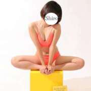 ヒメ日記 2025/09/30 12:15 投稿 しろ The White