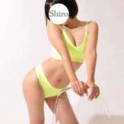 ヒメ日記 2025/10/04 12:15 投稿 しろ The White