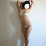 ヒメ日記 2025/11/21 12:15 投稿 しろ The White