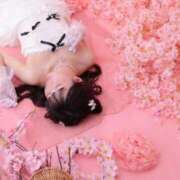 ヒメ日記 2025/04/25 23:03 投稿 りん The White