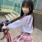 ヒメ日記 2025/04/30 08:01 投稿 りん The White