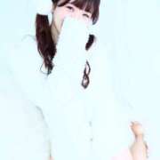 ヒメ日記 2025/05/08 08:01 投稿 りん The White