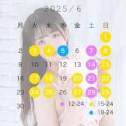 ヒメ日記 2025/05/24 20:01 投稿 りん The White