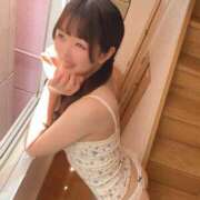 ヒメ日記 2025/06/14 08:00 投稿 りん The White