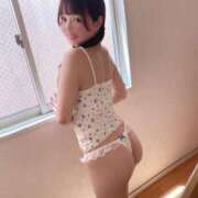 ヒメ日記 2025/07/01 19:30 投稿 りん The White