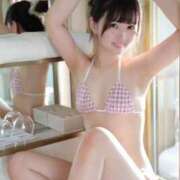 ヒメ日記 2025/07/07 08:01 投稿 りん The White