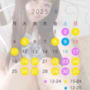 ヒメ日記 2025/07/21 20:01 投稿 りん The White