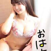 ヒメ日記 2025/08/06 08:01 投稿 りん The White