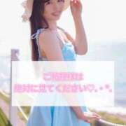 ヒメ日記 2025/08/16 13:01 投稿 りん The White