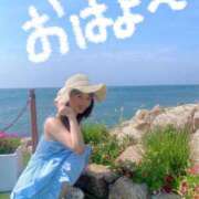 ヒメ日記 2025/08/27 08:01 投稿 りん The White