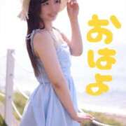 ヒメ日記 2025/09/03 08:01 投稿 りん The White