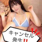 ヒメ日記 2025/09/03 16:25 投稿 りん The White