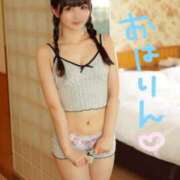 ヒメ日記 2025/09/28 08:01 投稿 りん The White