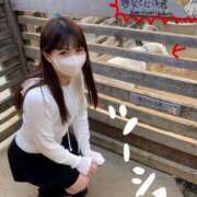 ヒメ日記 2025/10/30 10:01 投稿 りん The White