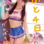 ヒメ日記 2025/10/31 12:03 投稿 りん The White